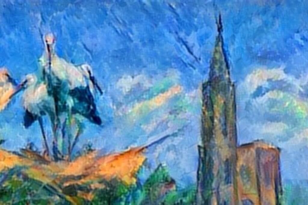 "Les Cigognes en Ville" : aimez et partagez notre page Facebook !