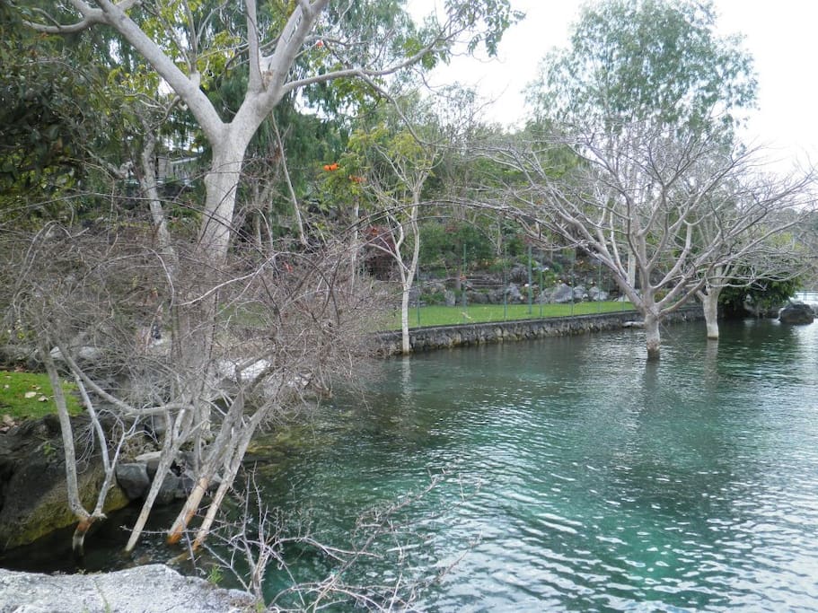 Area común con acceso al lago