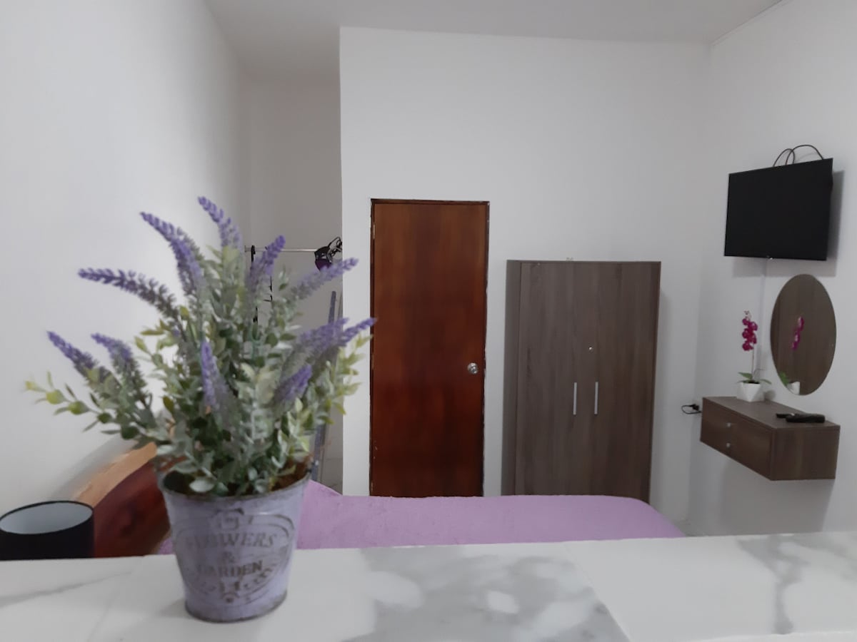 A cozy bedroom features a soft purple bedspread, a wooden wardrobe, and a wall-mounted television. A small mirror and a console with a decorative plant add to the simplicity of the space. A door leads to another area, contributing to the room's private atmosphere.