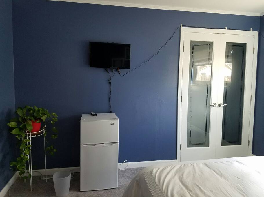 Ample closet with small refrigerator and TV