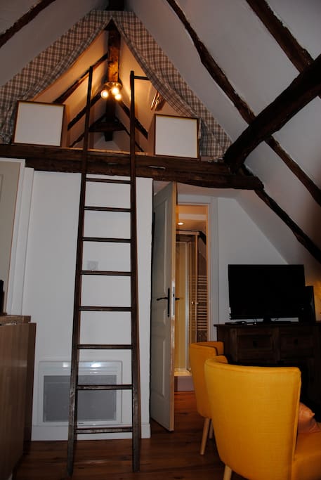 Ladder to mezzanine with double bed