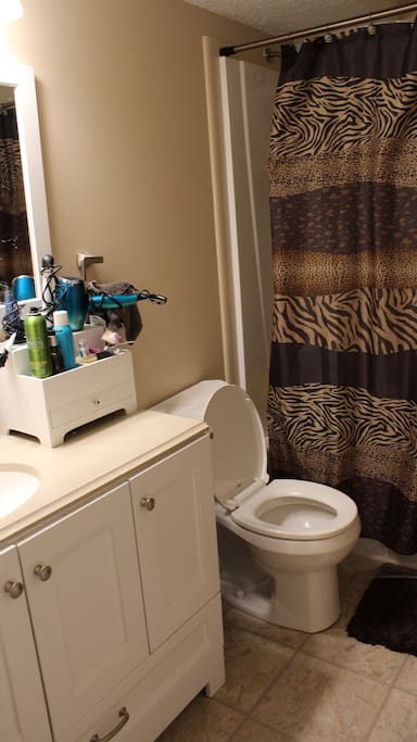 Recently Remodeled bathroom