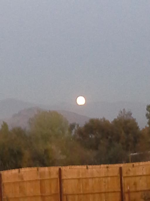 view outside