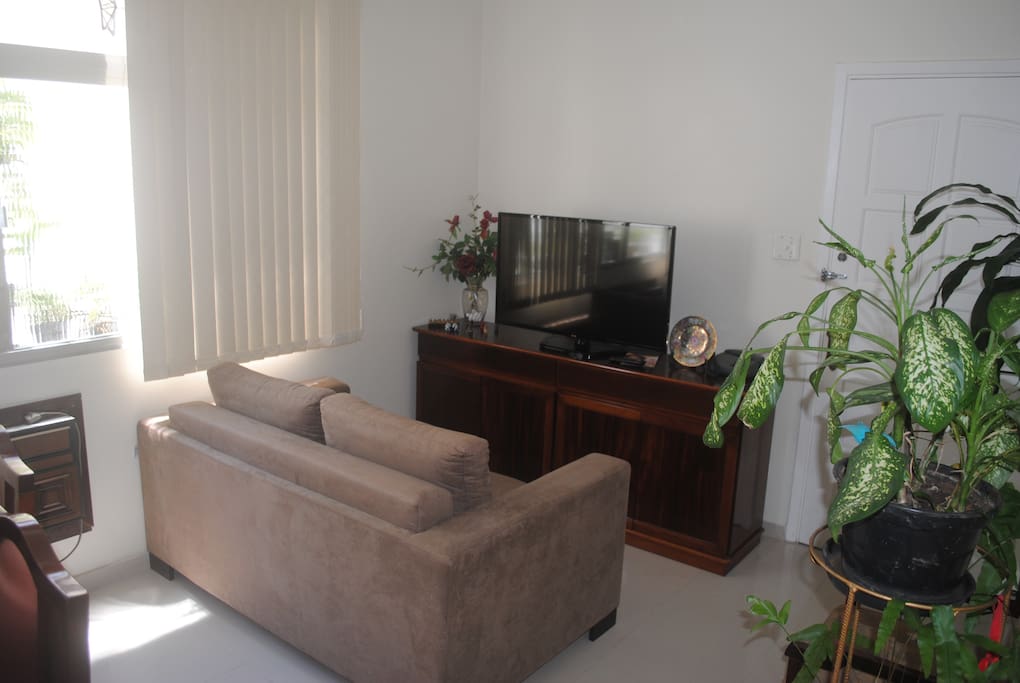 Sala de estar: detalhe da TV LED + sofá-cama para 2 pessoas