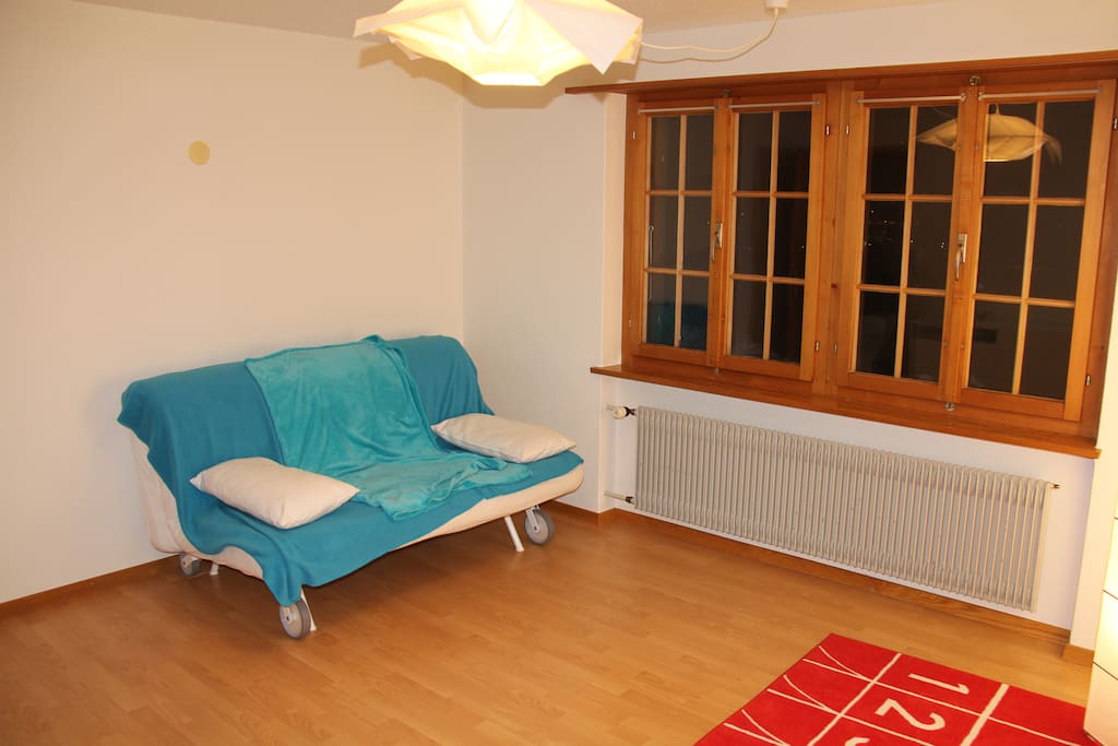 Living room with bed sofa