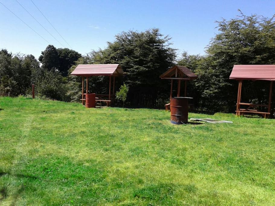 jardín/garden