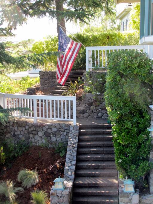 Entry steps