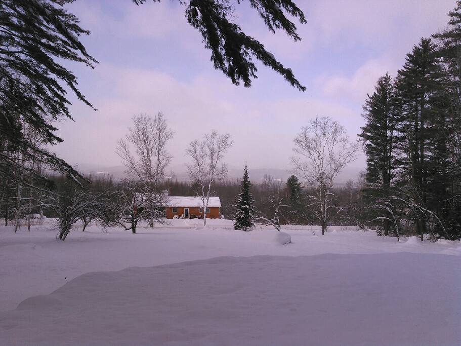 View from front of cabin
