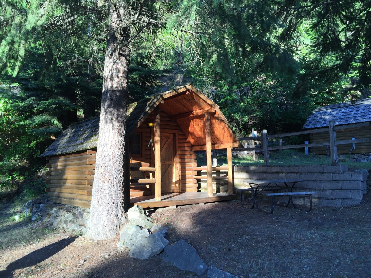 A rustic wooden cabin with a sloped roof and a porch is framed by tall trees. A picnic table is positioned nearby on a natural stone base, surrounded by a wooded area. The cabin's warm exterior is complemented by the dappled sunlight filtering through the branches.