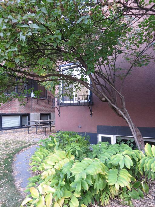 Garden and Courtyard