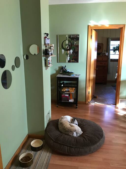 Dog not included :)