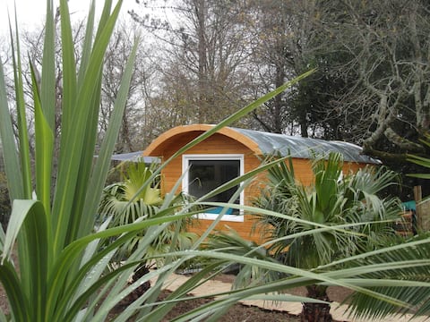 Marosenia - Cabin & Spa SURF - Bed and Breakfast
