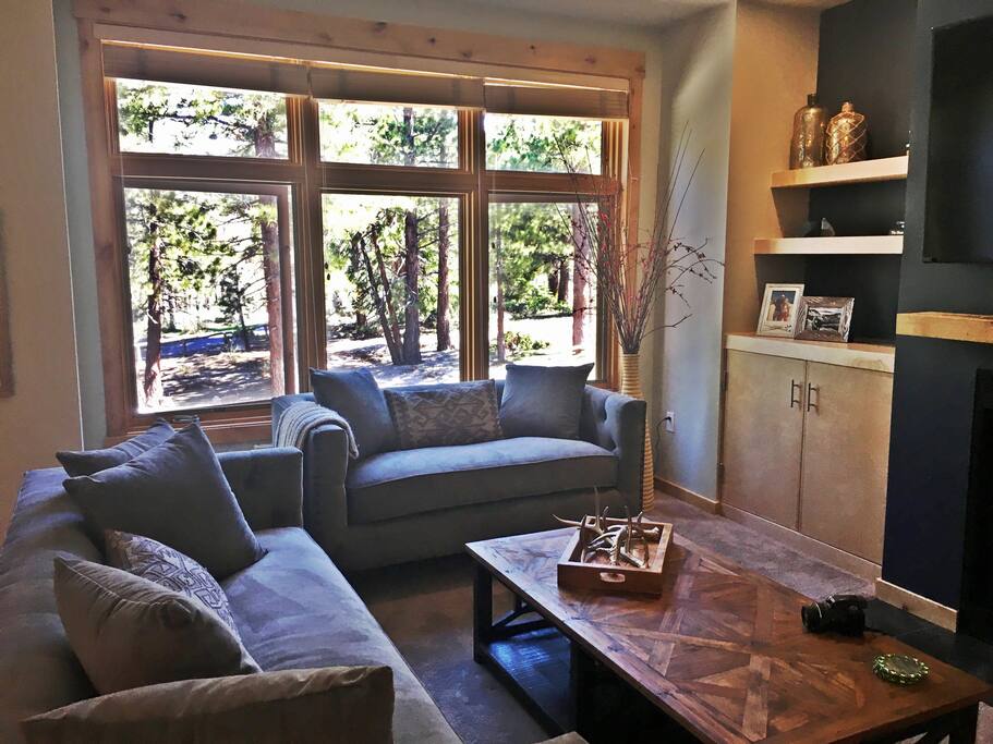 Living room with amazing views.