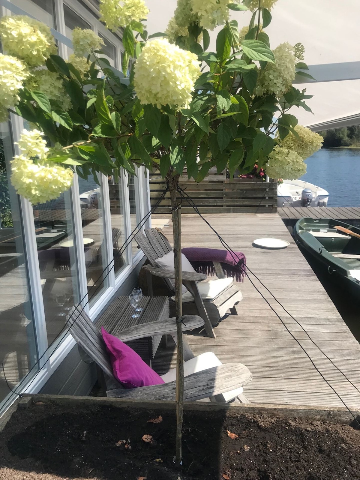 A waterfront deck features a decorative tree with clusters of white flowers. Two wooden chairs are positioned nearby, complemented by purple cushions. A boat is visible in the background, and the calm water reflects the surrounding greenery, enhancing the serene atmosphere.