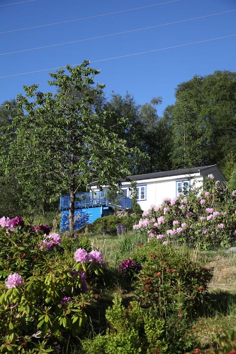 Villa Kunterbunt Junior
