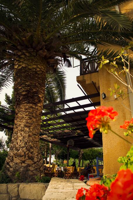 Colours... Enjoy your cold beer at our garden with finger food!