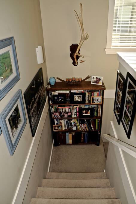 Enjoy my library and wildlife photography.