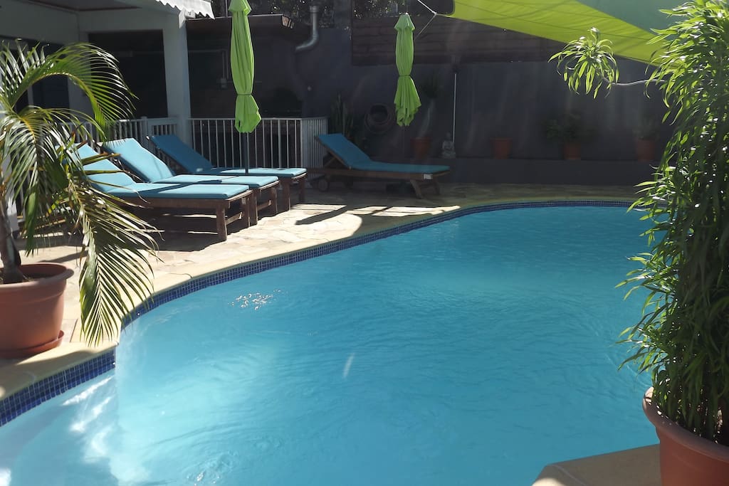 Piscine avec transats