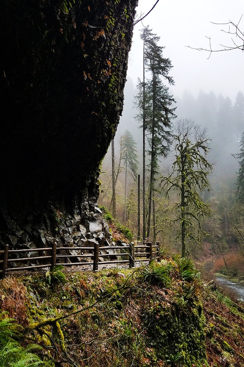 Показать полноэкранное фото от хозяина
