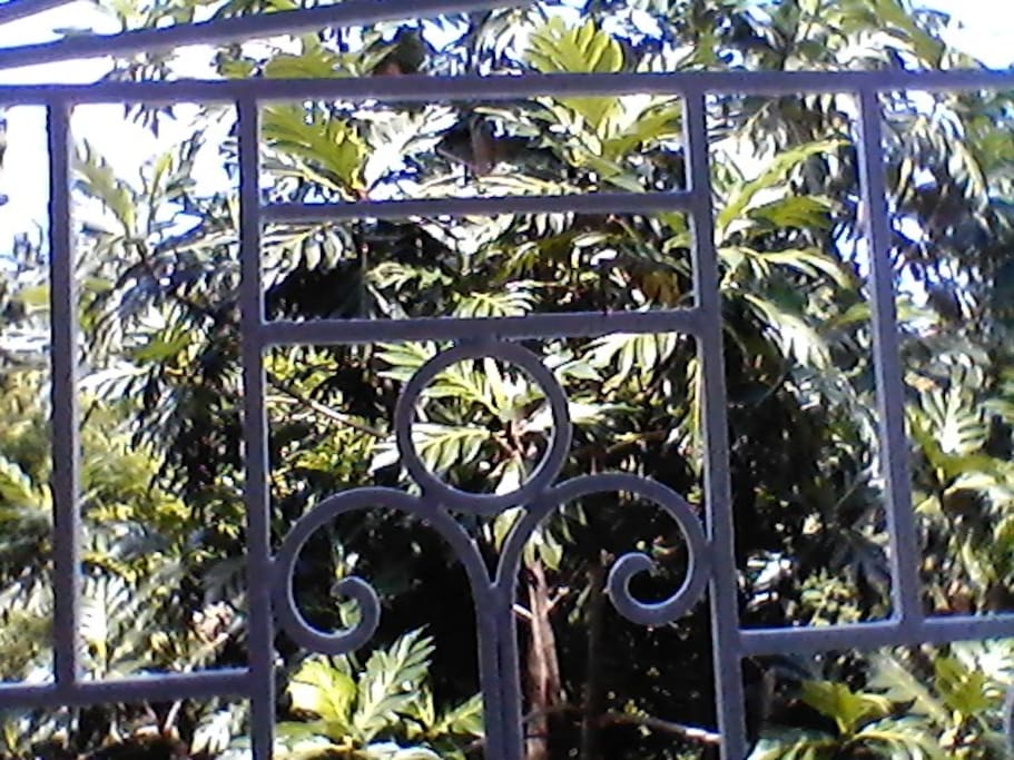 Outside view