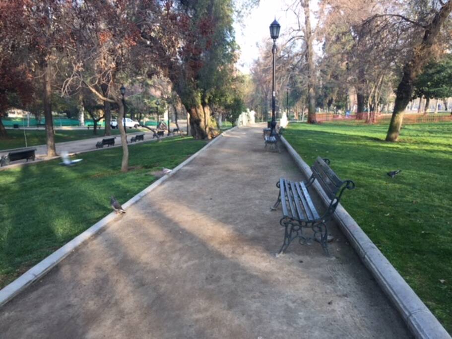 Parque forestal ubicado enfrente del edificio