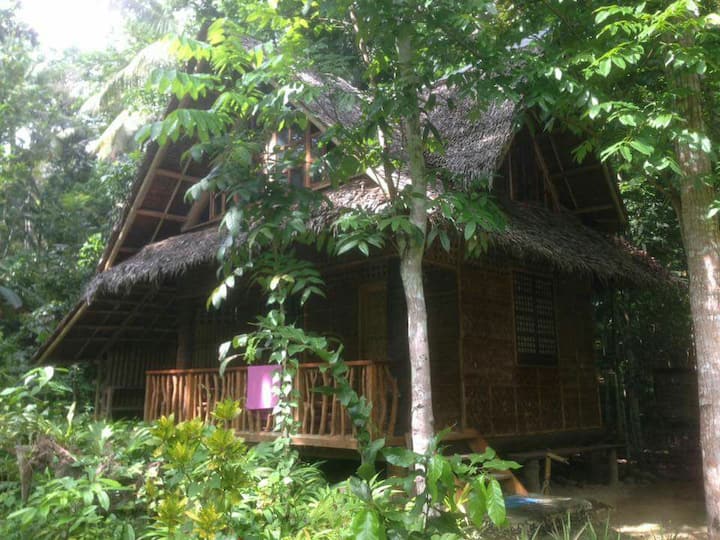 Riverside Native House