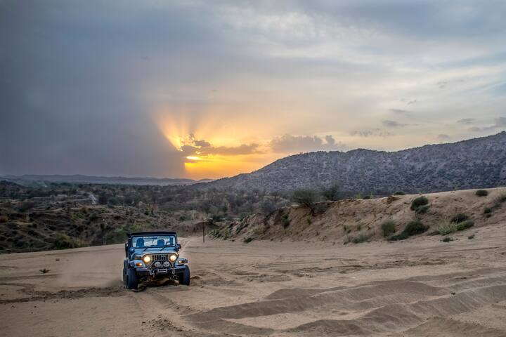 Amazing Sand Dunes Camping with Live Barbecue
