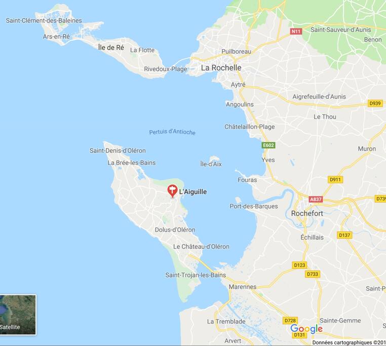 Google Map
