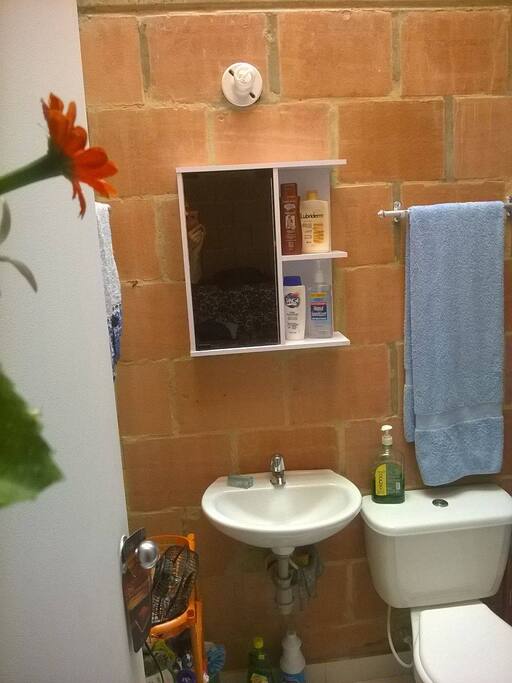 Baño con ducha