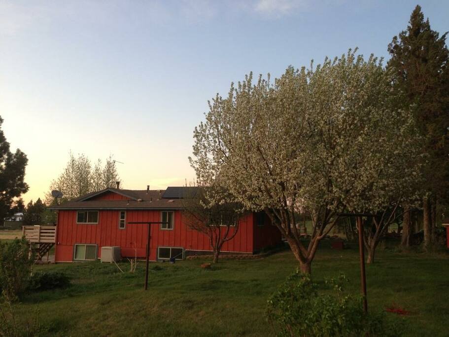 A side view of the home