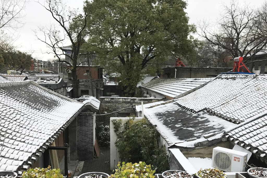 雪后屋顶露台的风景