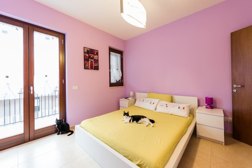 la camera da letto, anch'essa fornita di balcone e finestra, offre innovativi e confortevoli materassi nuovi in memory foam, ergonomici per la schiena ed un riposo ottimale del corpo. coperte, comodini, cassettiere, lumi, ripostiglio e cuscini.