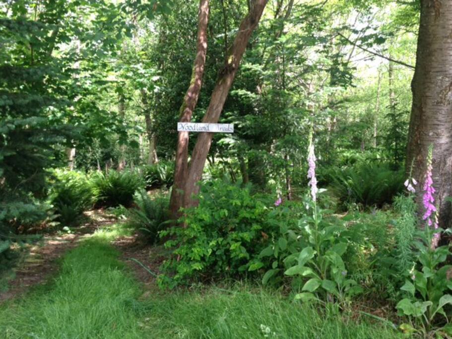 Hiking trails through the 40 acre wood lead to our private beach and Pt. Robinson Lighthouse.