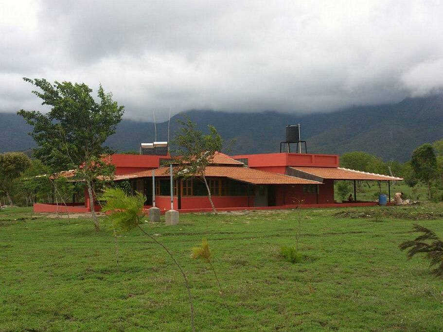 The Bungalow