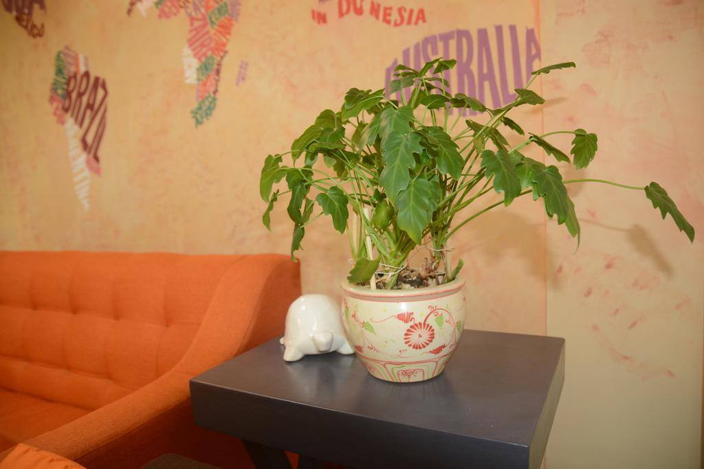I love green trees, you will see a lot of beautiful small pots are placed in the apartment. Do not forget to help me water them, please!
