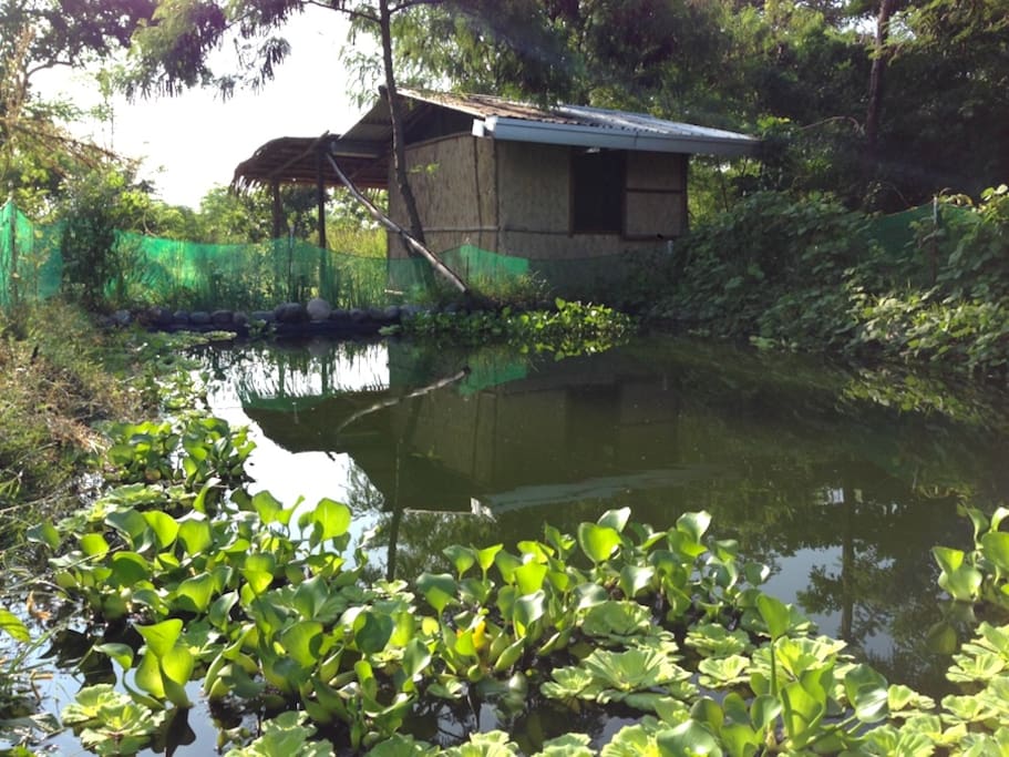 Sky Hut with Sky Pond