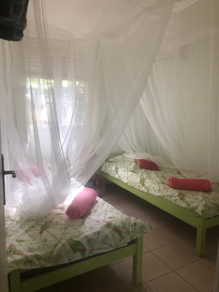 Miestnosť pre papagájov