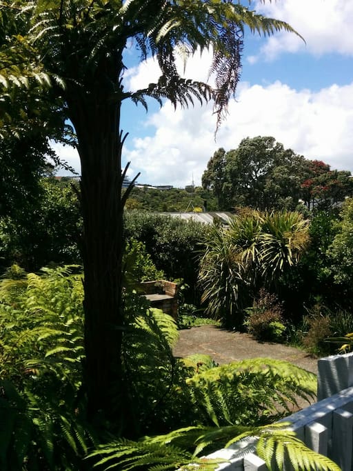 View to the skytower in Auckland CBD