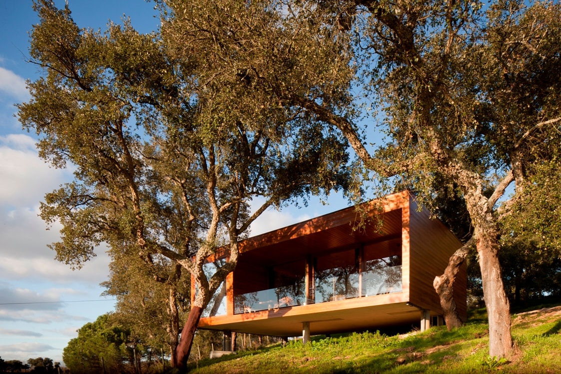 A modern wooden cabin is situated on a grassy incline, surrounded by large trees. The cabin features expansive glass walls that provide views of the outdoor surroundings. Natural light is invited inside, creating a sense of connection with the landscape.
