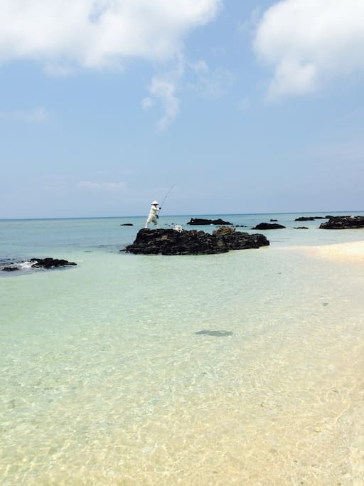 Clear, clean ocean full of tropical fish and white sand