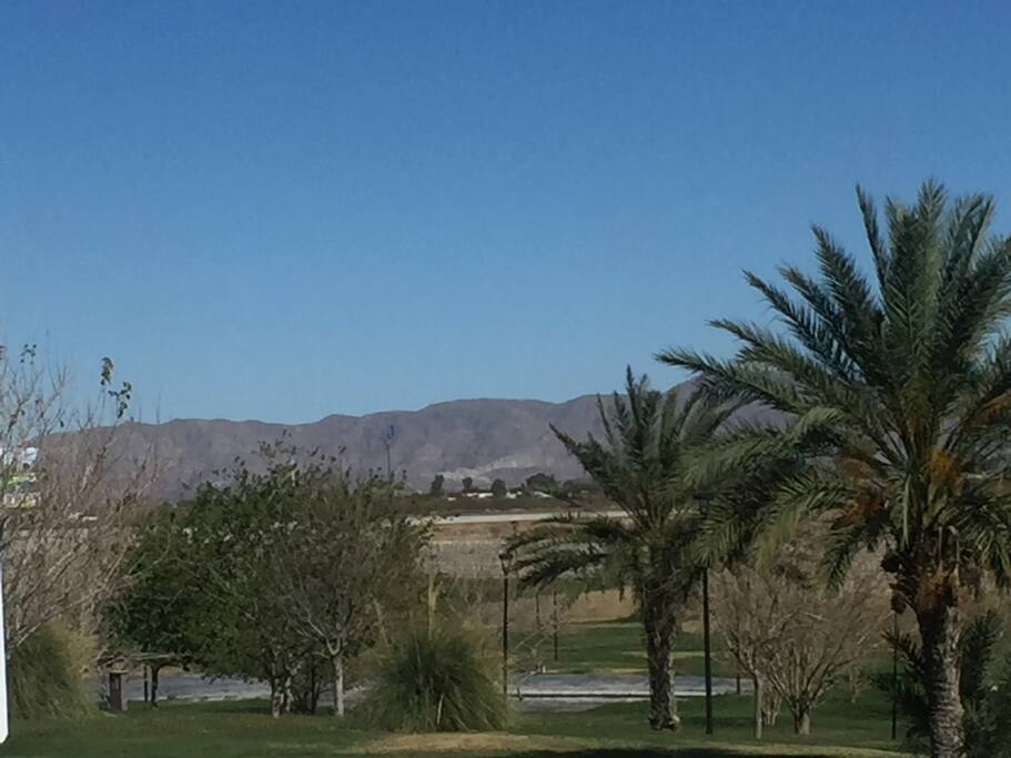 Vista