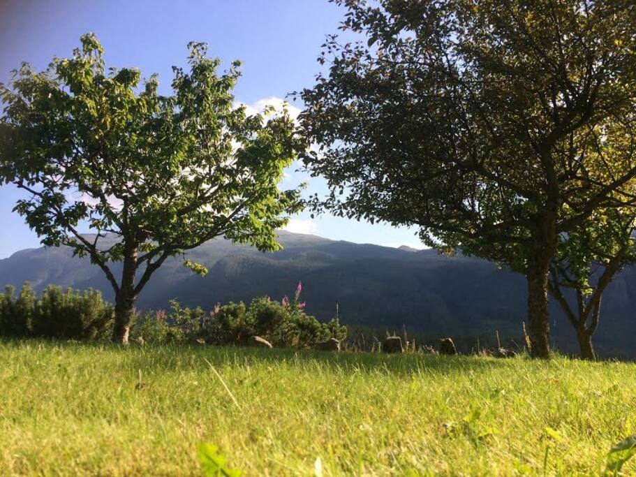 Utsikten fra hagen