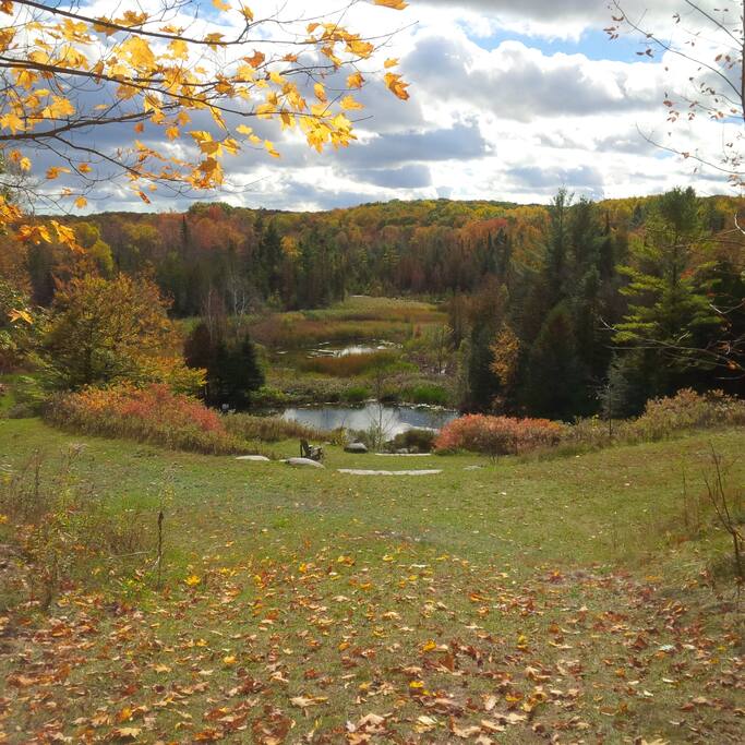 Walk to this area only 15 minutes from the cabin.
