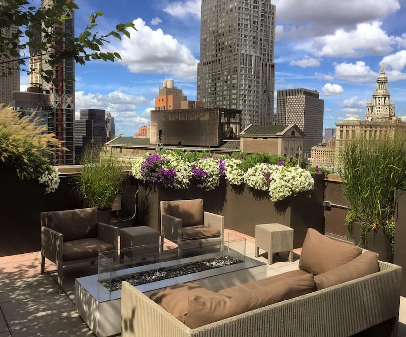 Rooftop view