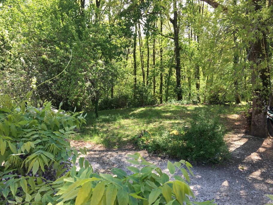 Vue sur la forêt depuis la terrasse