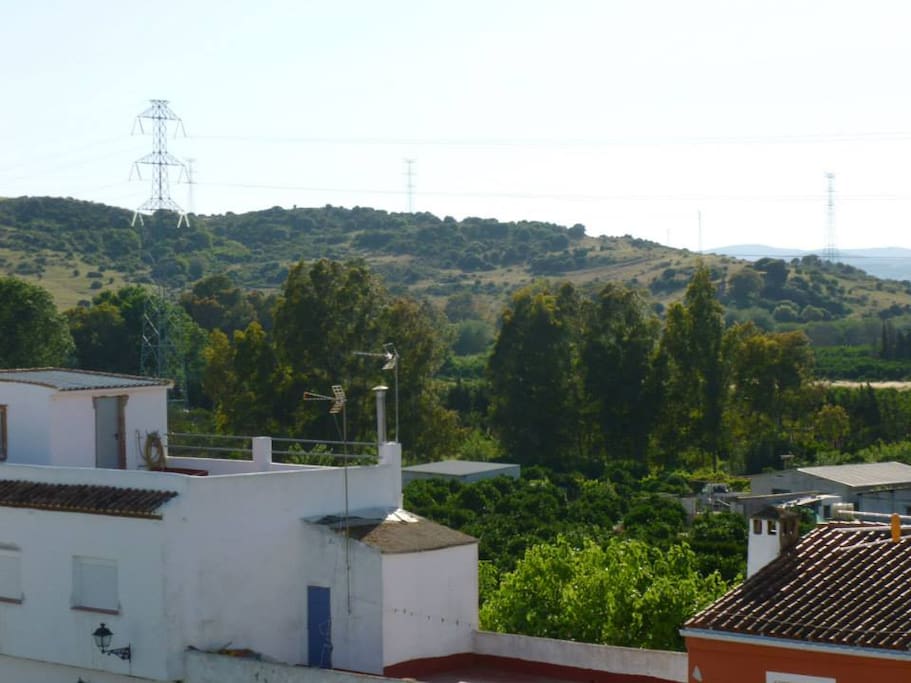 Local views from the terrace