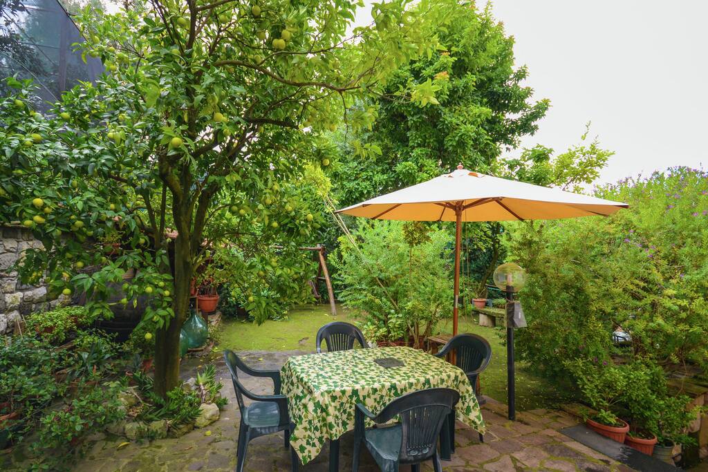 Patio / Balcony