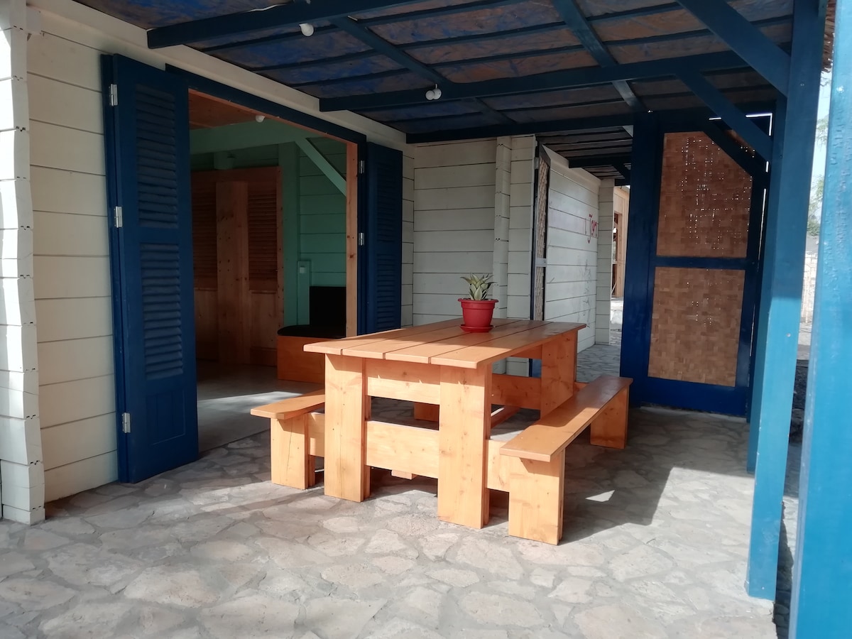 An outdoor seating area features a wooden table surrounded by benches, placed on a stone patio. Bright blue shutters and wooden beams provide a charming backdrop, while a small potted plant sits at the center of the table, adding a touch of greenery.