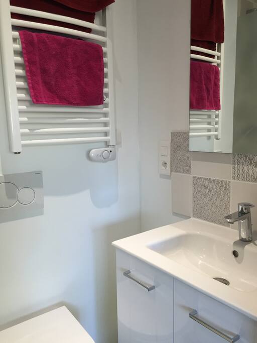 La salle de bain avec douche et WC