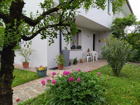 5 rooms & breakfast "Forest House" Rubano (PD)